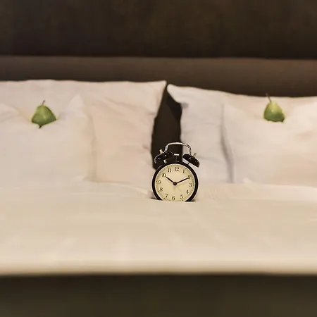 فندق ومطعم بارباروساهوف 4*